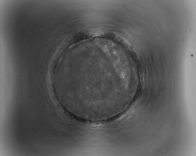 X0000094231393200711091305