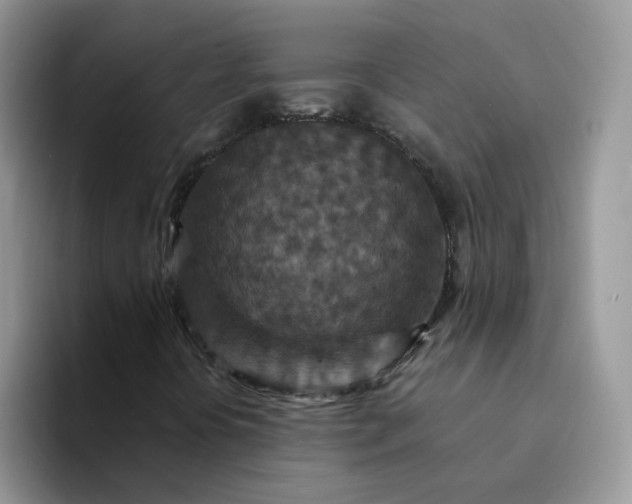 X0000094231394200711091305