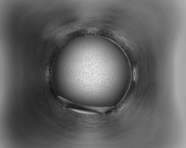 X0000094231395200711091305