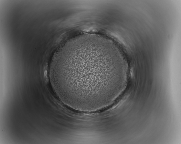 X0000094231396200711091306