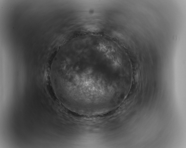 X0000094231397200711091306