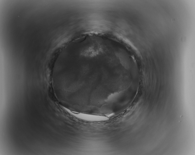 X0000094231399200711091306