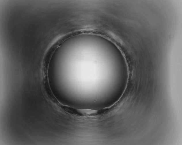 X0000094231400200711091306