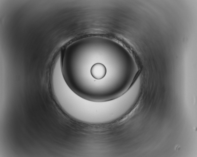 X0000094231402200711091306