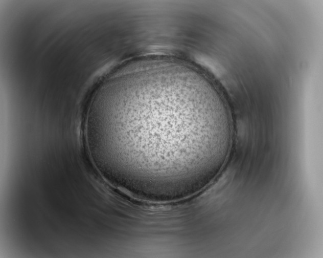 X0000094231403200711091306