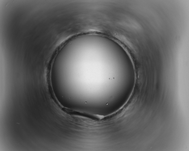 X0000094231404200711091306