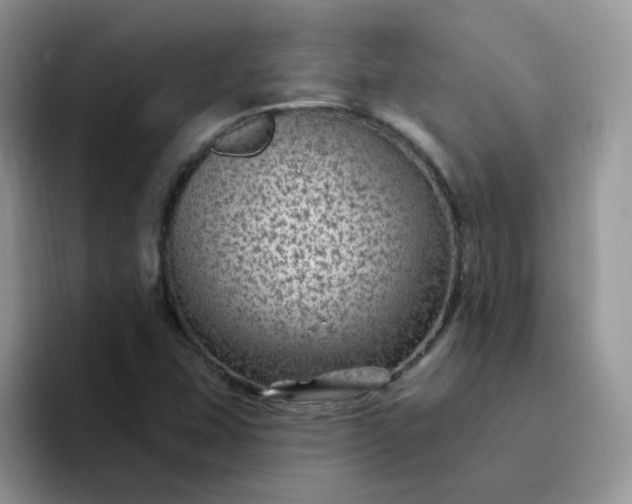 X0000094231407200711091306