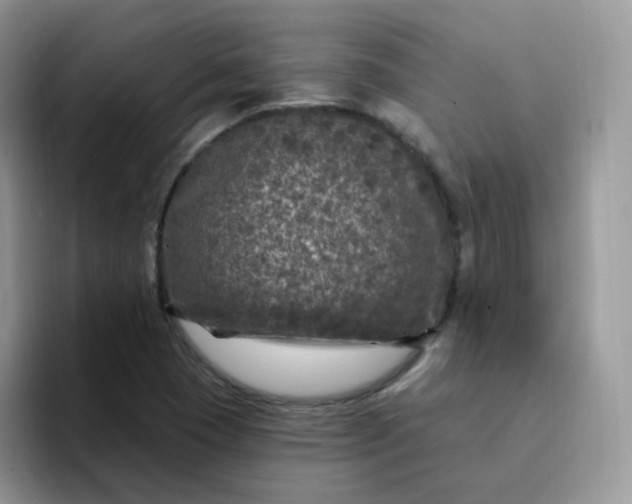 X0000094231409200711091306