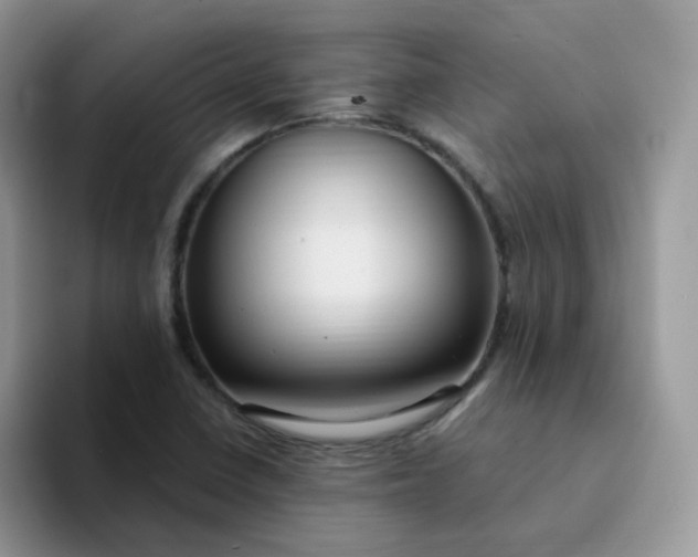 X0000094231410200711091306