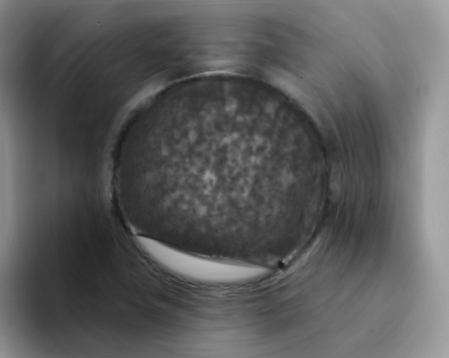 X0000094231411200711091306