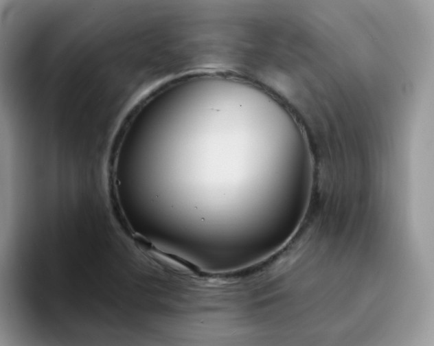 X0000094231412200711091306