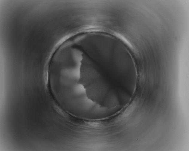 X0000094231413200711091306