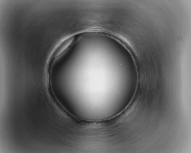 X0000094231414200711091306