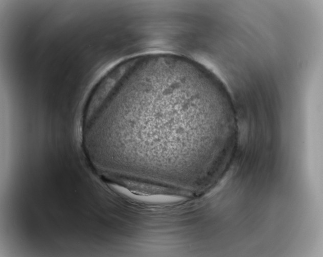 X0000094231415200711091306