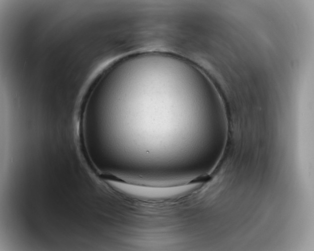 X0000094231416200711091306