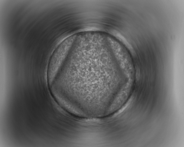 X0000094231417200711091306