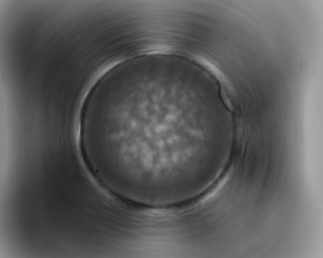 X0000094231418200711091306