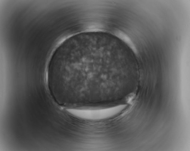 X0000094231419200711091306