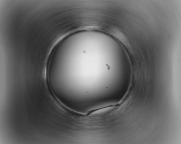 X0000094231420200711091306