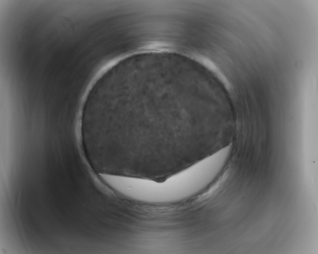 X0000094231421200711091306