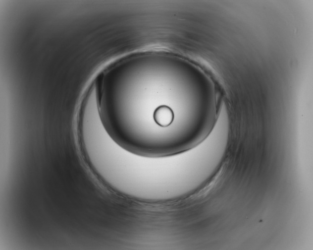 X0000094231422200711091306