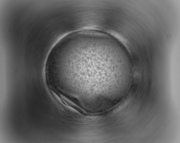 X0000094231423200711091306