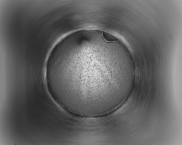 X0000094231424200711091306