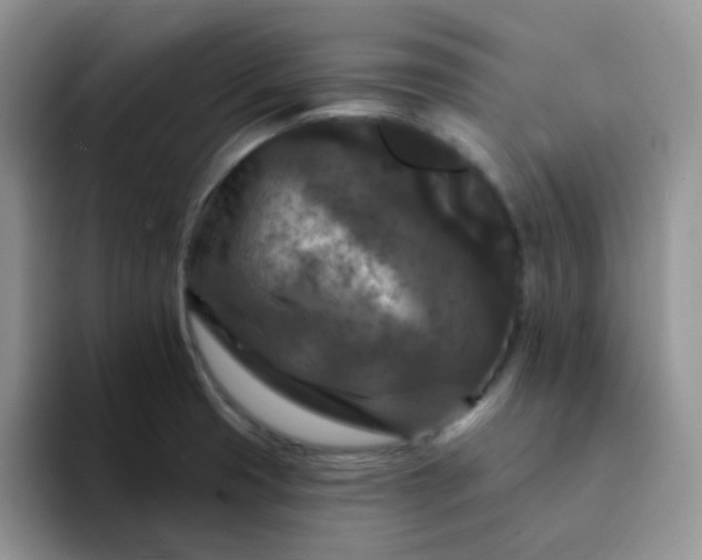 X0000094231425200711091306