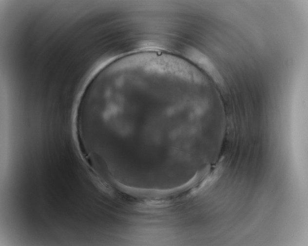 X0000094231427200711091306