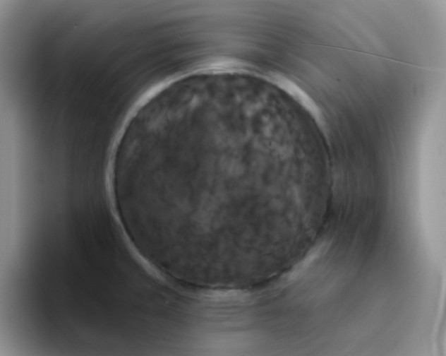 X0000094231429200711091306