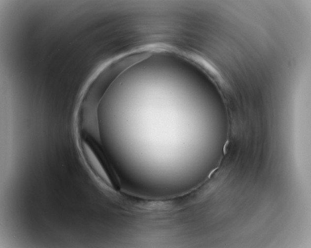 X0000094231430200711091306