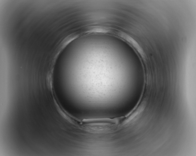 X0000094231433200711091306