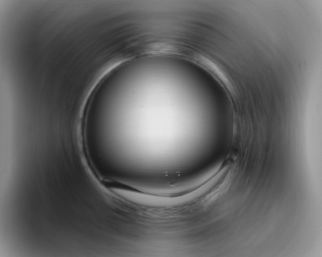 X0000094231434200711091306