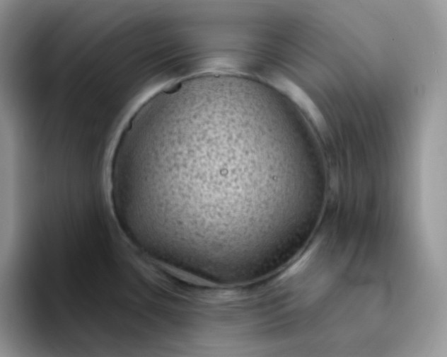 X0000094231435200711091306