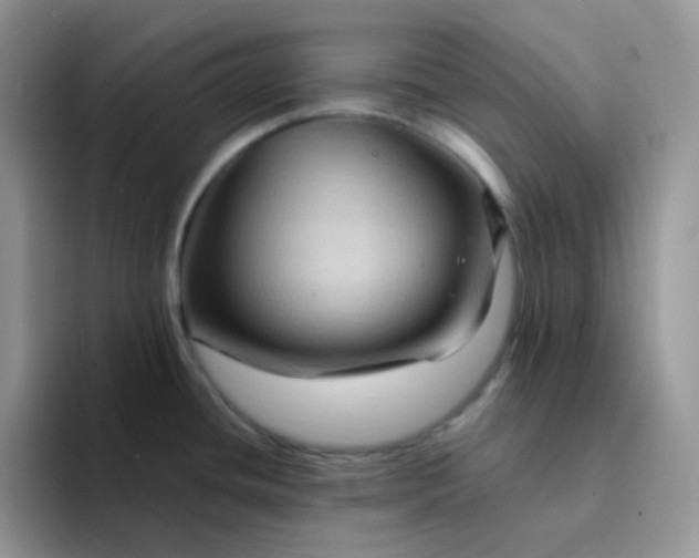 X0000094231436200711091306