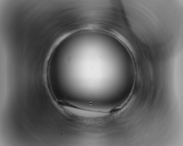 X0000094231437200711091306