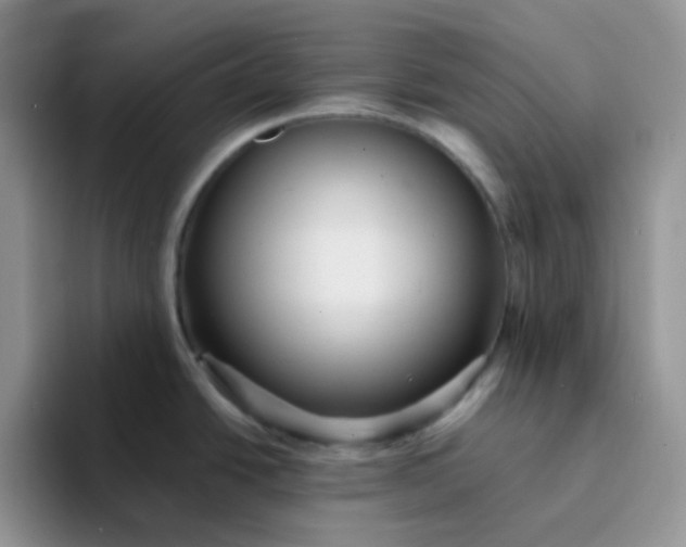 X0000094231438200711091306