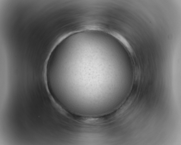 X0000094231439200711091306