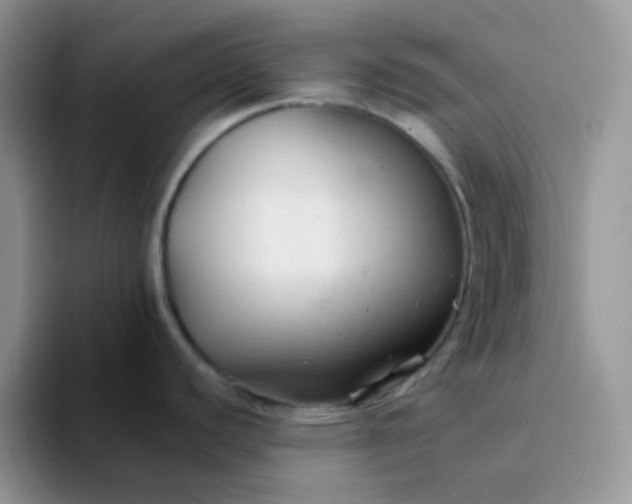 X0000094231440200711091306