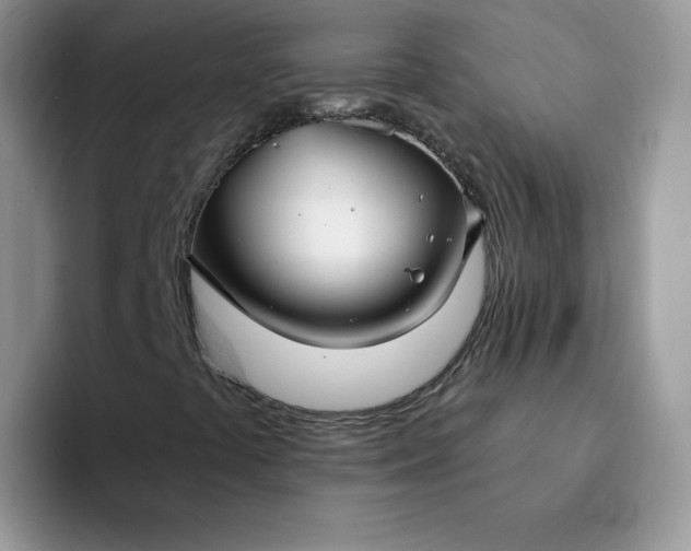 X0000094231441200711091305