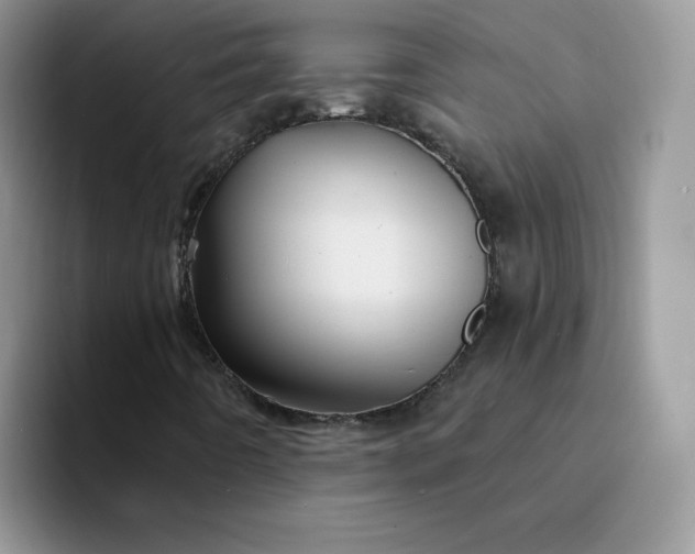 X0000094231442200711091305