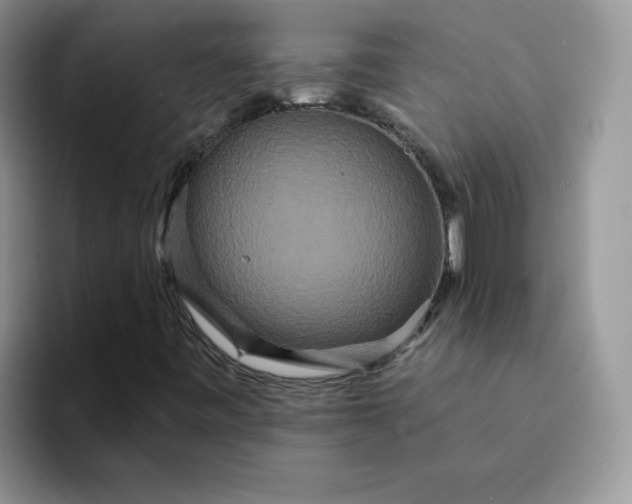 X0000094231443200711091305