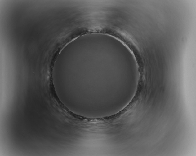 X0000094231445200711091305