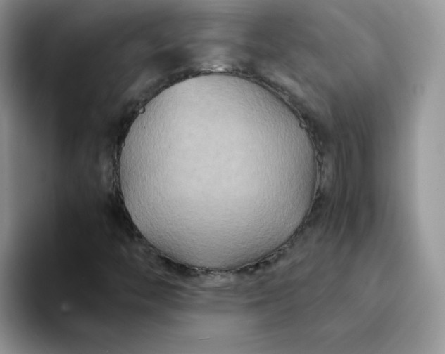 X0000094231446200711091305