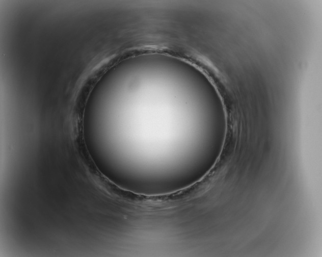 X0000094231448200711091305