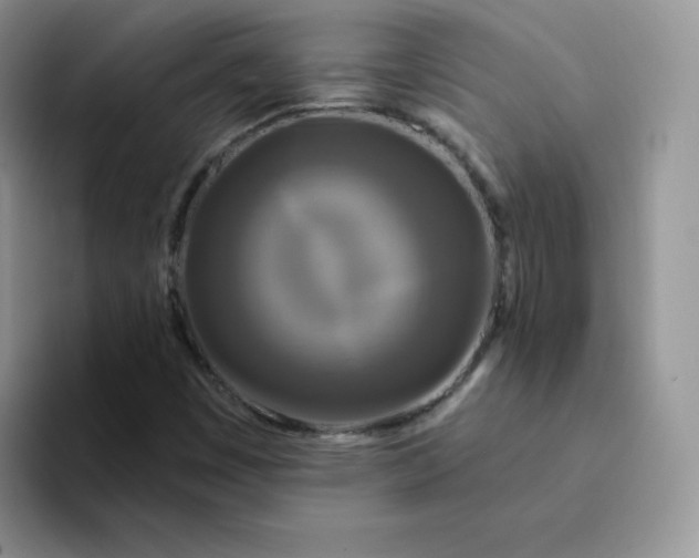 X0000094231449200711091305