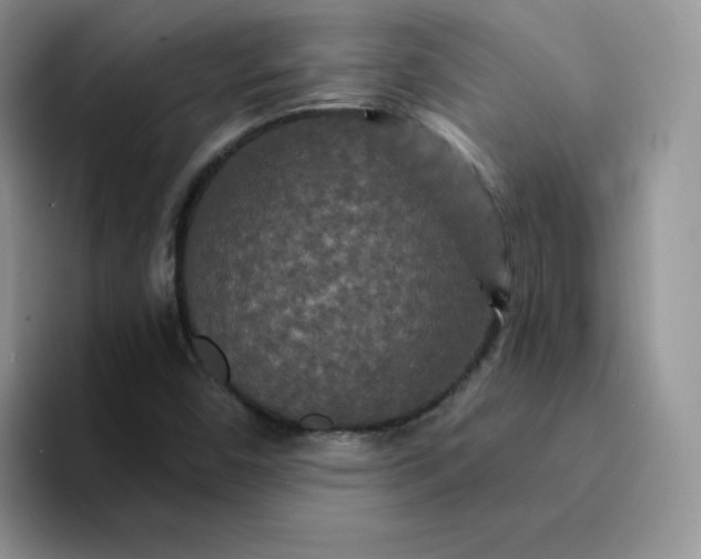 X0000094231450200711091305