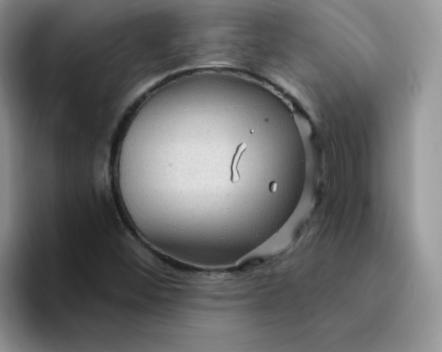 X0000094231452200711091305