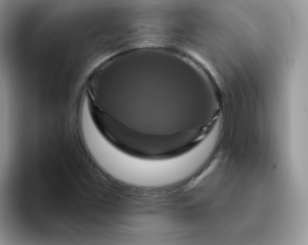 X0000094231453200711091305