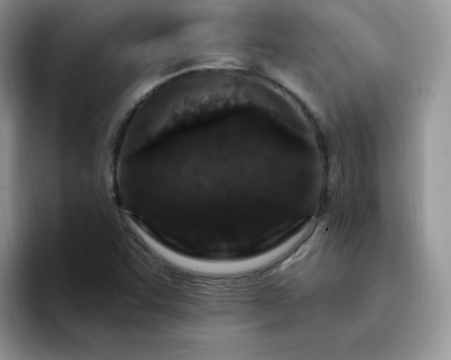 X0000094231455200711091305